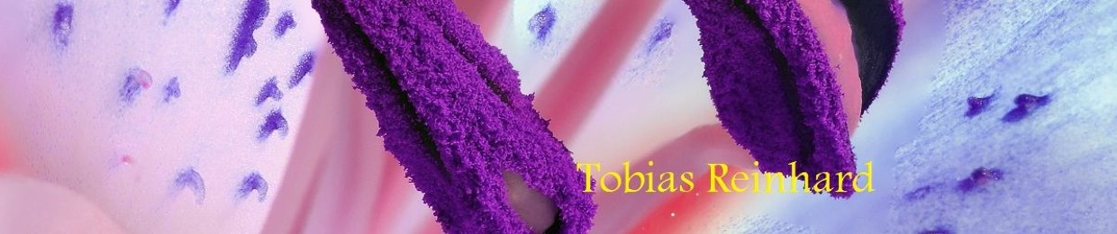 Tobias Reinhard