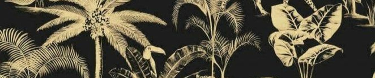 Ninja Exotic Machine