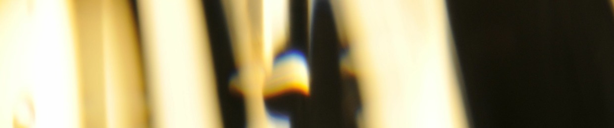 Vivibirdy