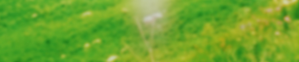 hprxd