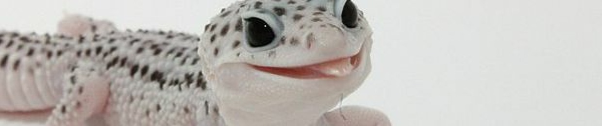 mb