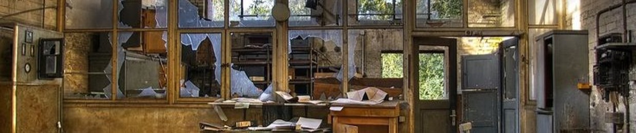Libellule Back Shop
