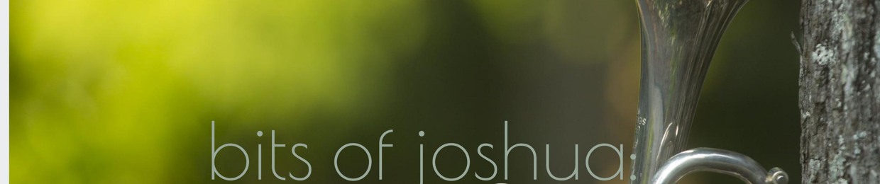 Bits of Joshua