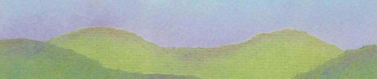 sheiduhman
