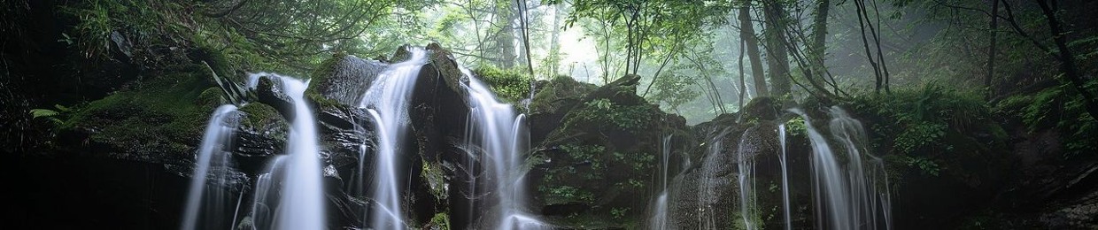 Nobuharu Morimoto
