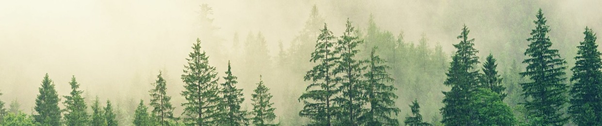Tree Collective
