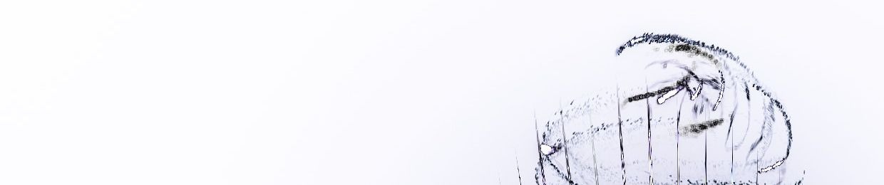 karito