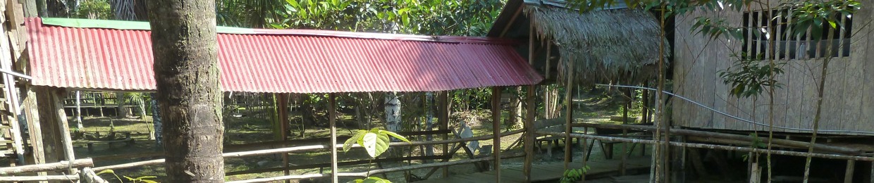 Freedom Through Music / Christian Schröer