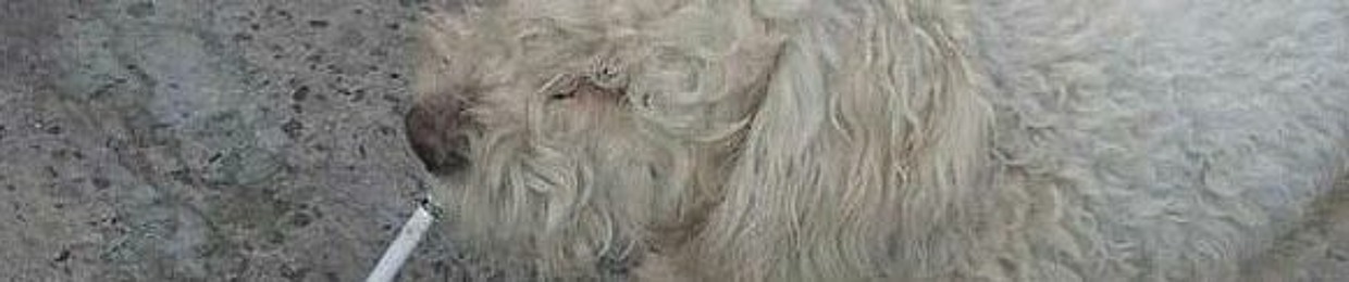 tupichaesmidroga