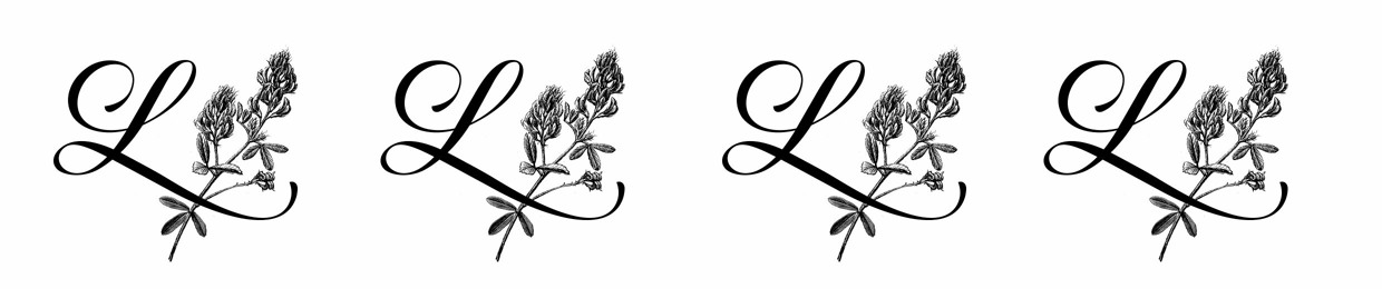 Luzerna Records