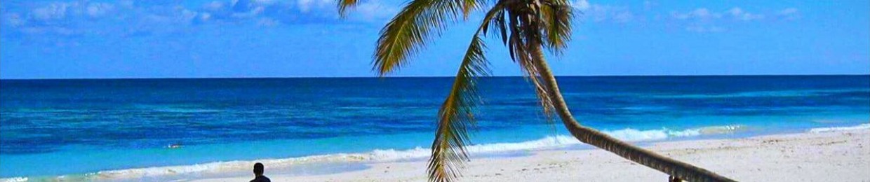 FREE PROGRESSIVE HOUSE