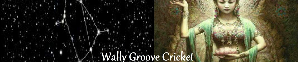 wally groove cricket