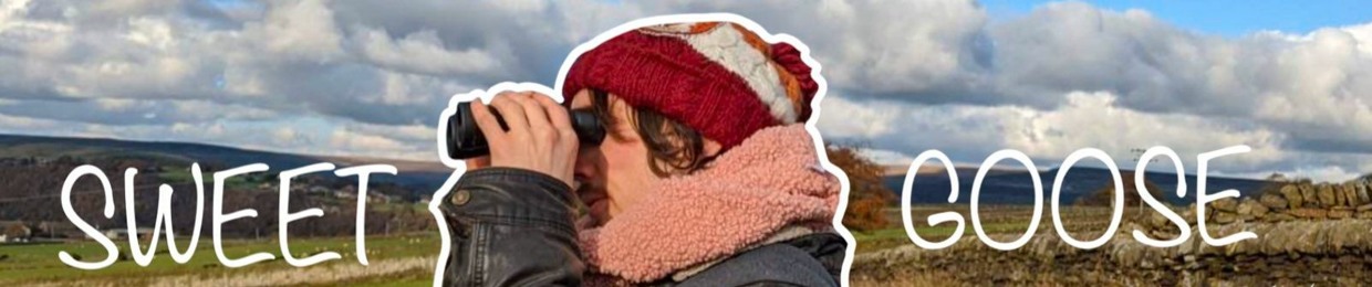 Sweet Goose