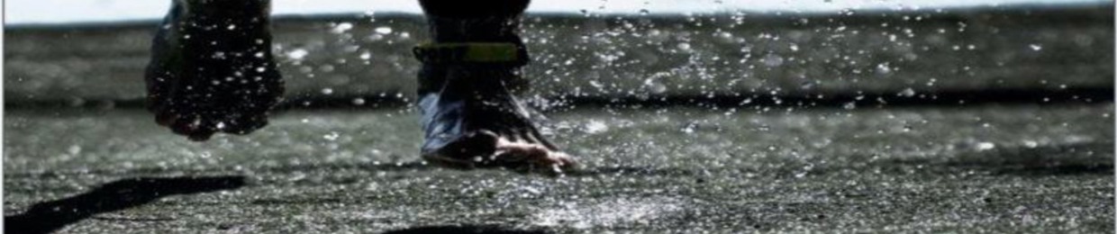 LandSurfingPro