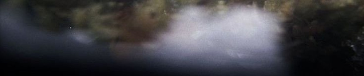 silver aura