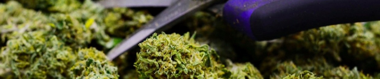 -HasH-