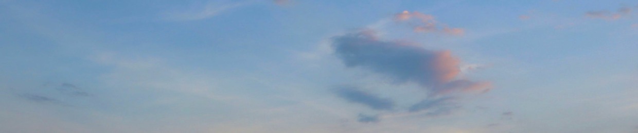 Odie.Loves.Spaghetti