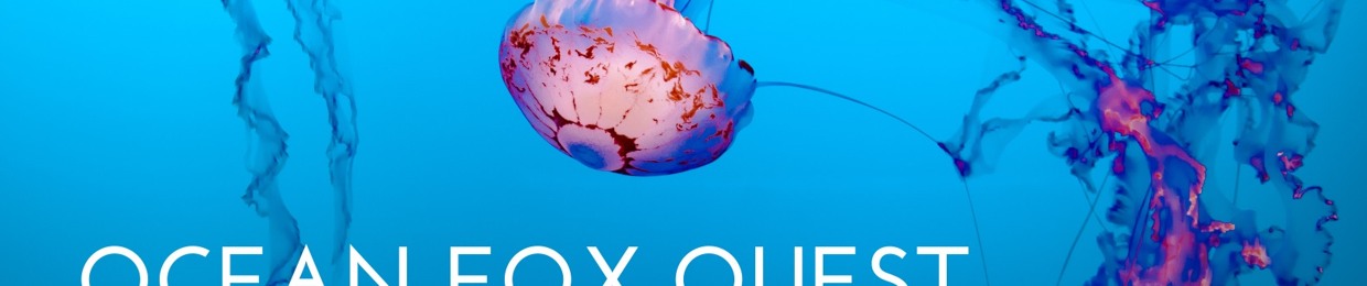 Ocean Fox Quest