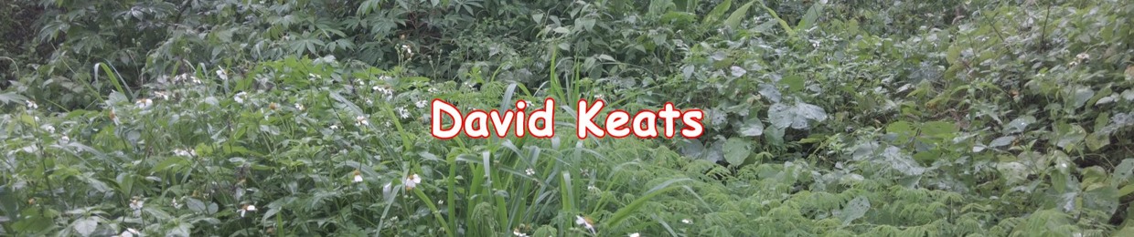 David Keats