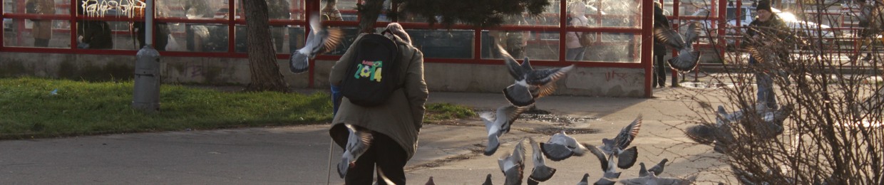 Niko Picc – Ookolok