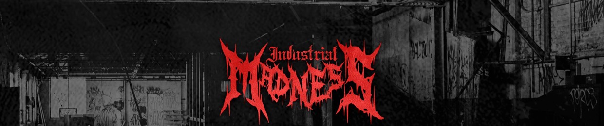 INDUSTRIAL MADNESS