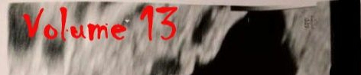 Volume13