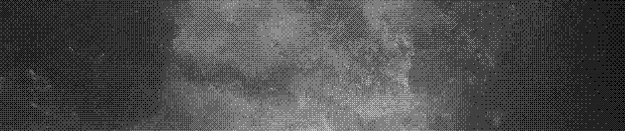 cappymonroeكابيمونرو