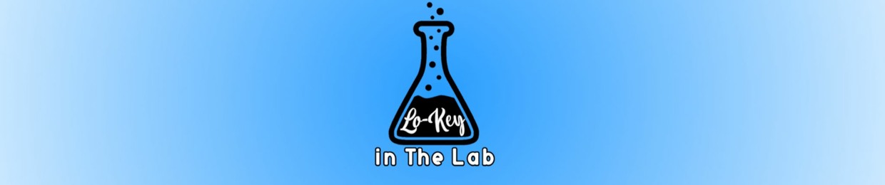 Lo-Key In The Lab