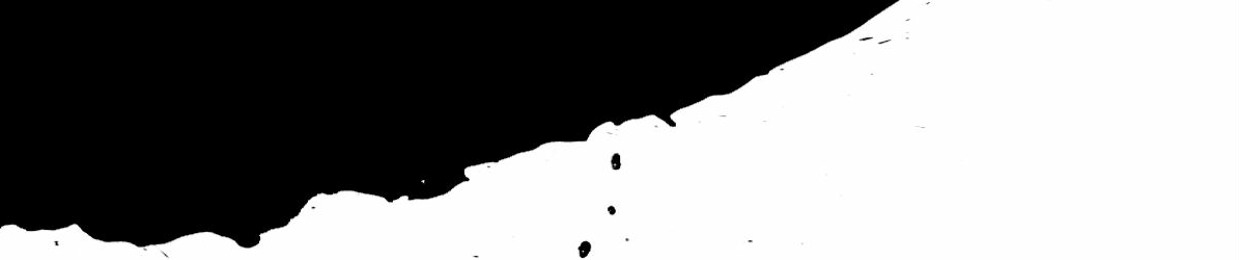 Amphigory