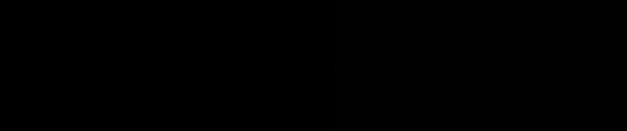 ski