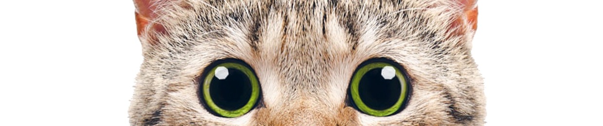 StevenCats