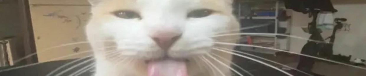 cwrdd