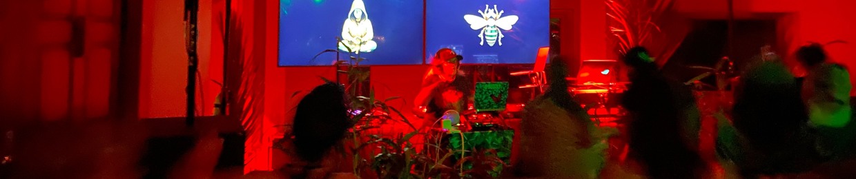 DKC Triple 3