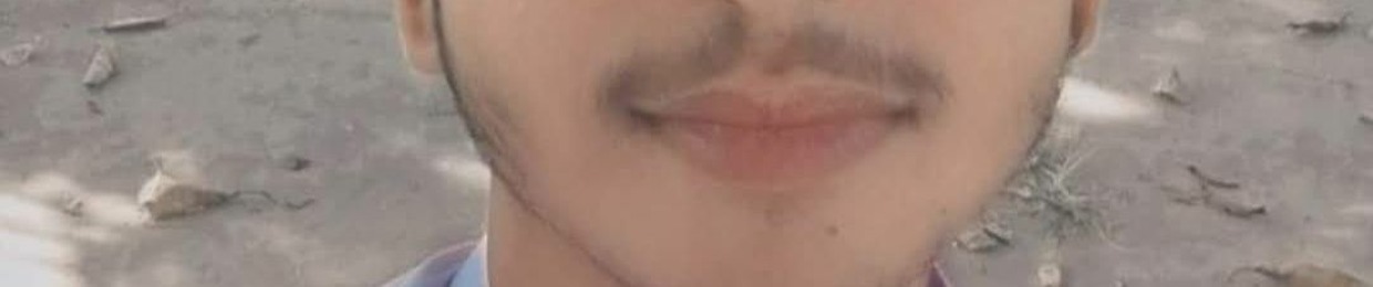 Malik Shehroz Khalid Awan