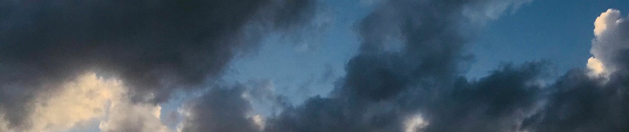 SO HEI B R A H M A N I