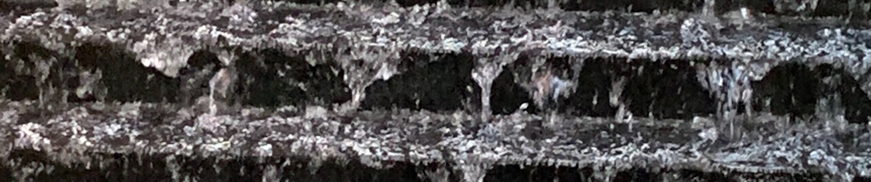 변하림
