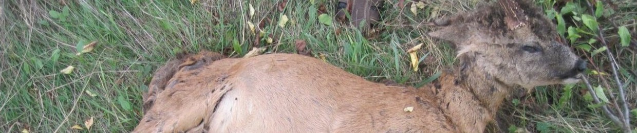 ᅠᅠᅠᅠᅠᅠᅠᅠᅠᅠᅠᅠᅠᅠM0KZZSS