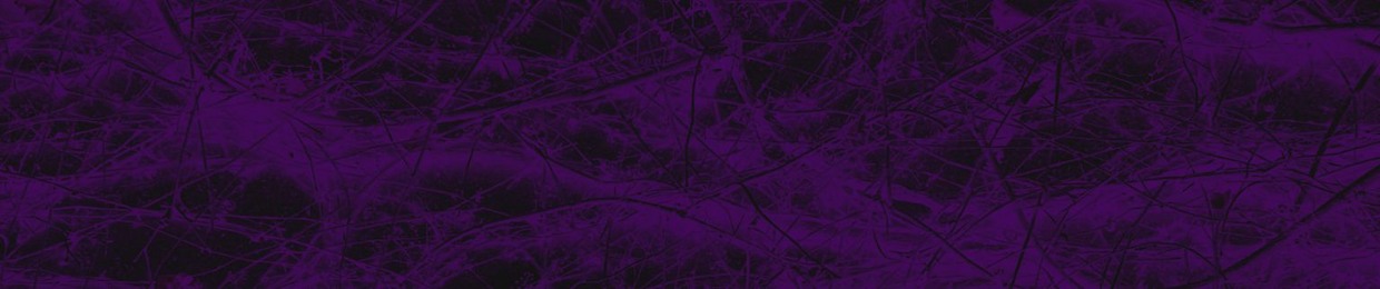 seeze
