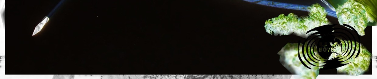 VVTL