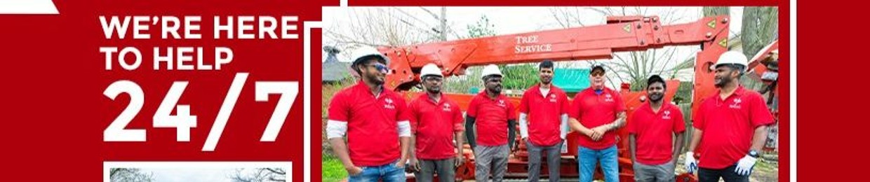 Branch Specialists Tree Service Buffalo NY