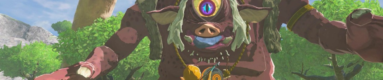 ian de zelda pro