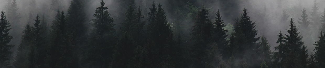 رادیو گوزن|RadioDeer