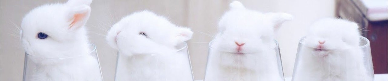 YunoA<3