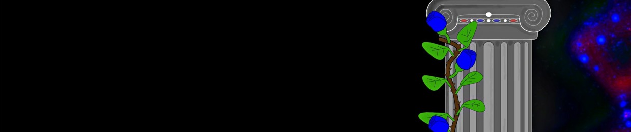 Ancient Node