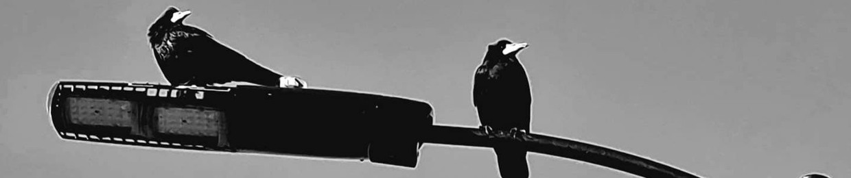 Violent Crow