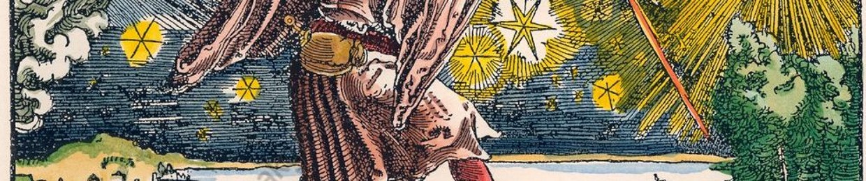 José Luiz Frarre Ribas