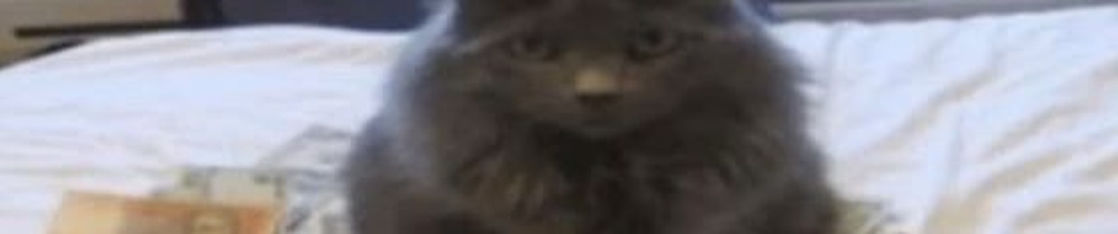 feii