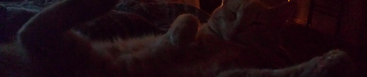Leeloo Goodkitty
