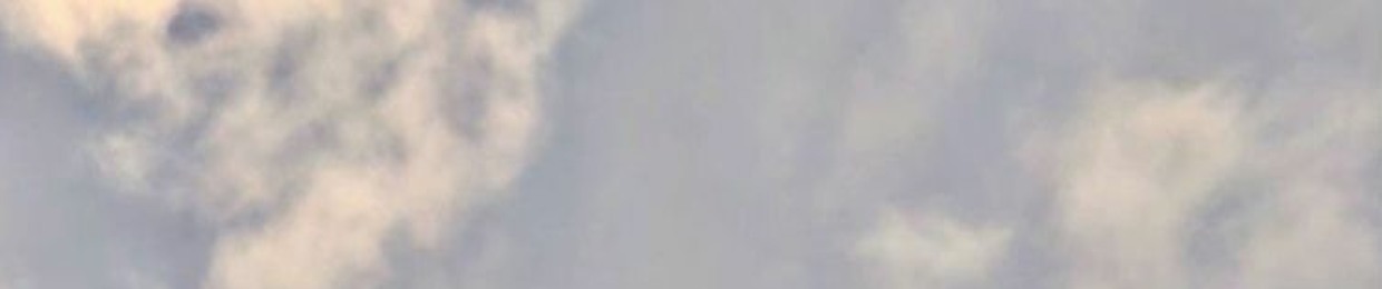 OYO