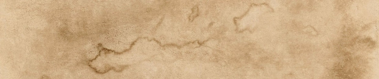 Loconte da Vinci